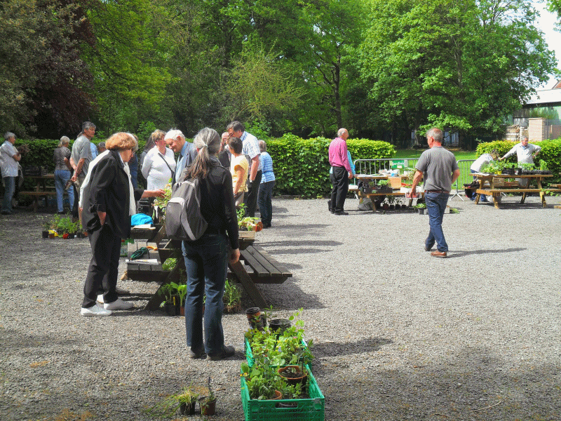 Bouse aux plantes 2016