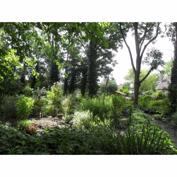 photos jardin