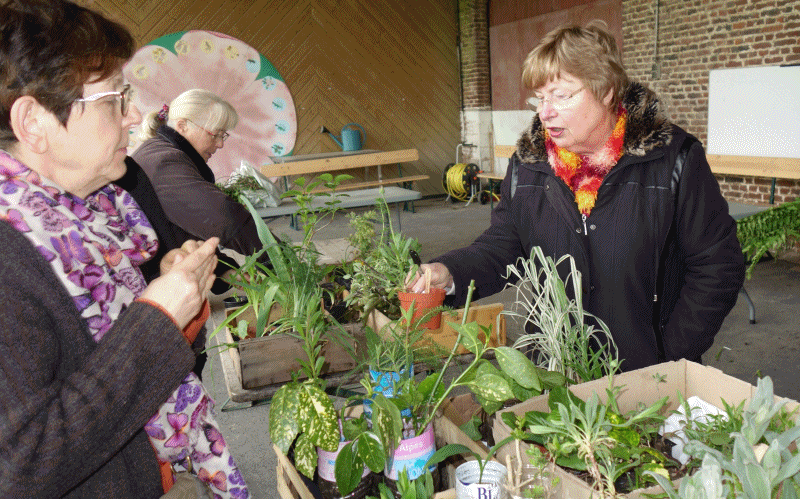 PhotosTrocAuxPlantes