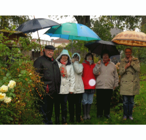 Visite jaridns