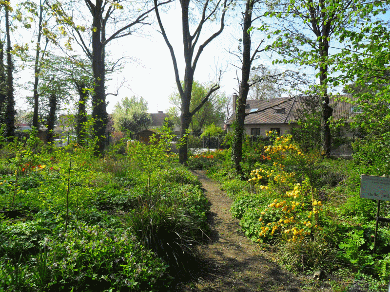 Jardin Claeys 2015