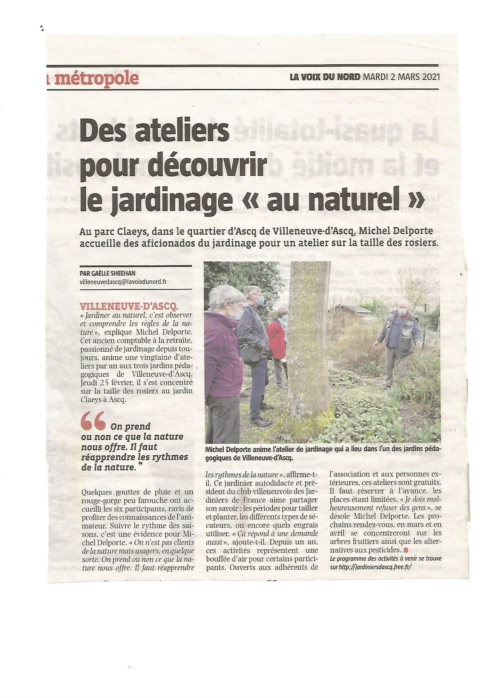 article